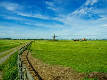 Feldweg entlang Holzzaun durch grüne Weide mit grasenden Schafen. Traditionelle Windmühle und Bauernhäuser in flacher holländischer Landschaft unter blauem Himmel.