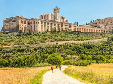 Zwei Radfahrer auf einem Weg durch goldene Felder in Richtung Assisi. Die Basilika San Francesco erhebt sich über grünen Hügeln unter blauem Himmel.