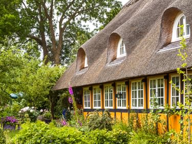 Traditionelles dänisches Fachwerkhaus mit Reetdach und gelber Fassade auf der Insel Tåsinge. Drei Dachgauben und weiße Fenster, umgeben von üppigem Garten.
