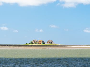 Kleine Insel mit traditionellen Häusern auf grünem Gras, umgeben von flachem Wattenmeer und Sandstränden unter blauem Himmel an der Nordsee.