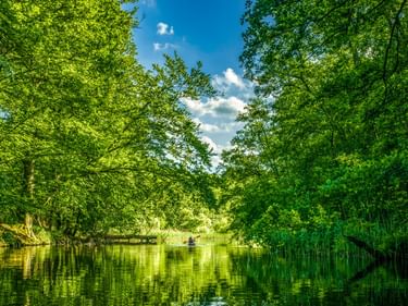 Ruhiger Wasserweg in der Mecklenburger Seenplatte, eingerahmt von üppig grünen Bäumen, die sich im ruhigen Wasser spiegeln.