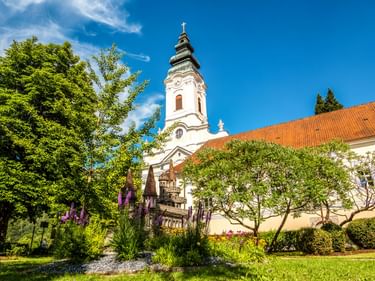 Weiße Barockkirche mit Zwiebelturm und orangefarbenem Ziegeldach in Engelhartszell, umgeben von einem blühenden Garten mit lila Blumen und Bäumen.
