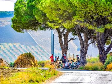 Radfahrer machen Pause unter großen Pinien an einer Landstraße bei Selinunte. Weinberge und sanfte Hügel im Hintergrund sichtbar.