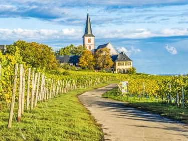 Straße durch Weinberge zur Kirche St. Peter und Paul in Hochheim mit spitzem Kirchturm, umgeben von grünen Reben unter blauem Himmel.
