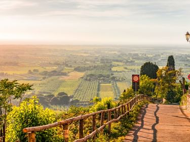 Gewundener Weg mit Holzgeländer mit Blick auf die toskanische Landschaft von Castagneto Carducci. Weinberge und Felder erstrecken sich im Tal.