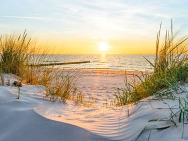 Sandy beach on Usedom with beach grass and dunes in foreground. Golden sunset over the Baltic Sea with a wooden pier visible in the distance.