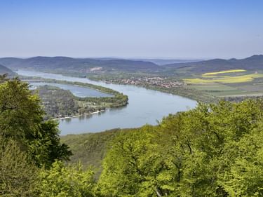 Panoramablick auf das Donauknie mit grünen Wäldern im Vordergrund, fernen Hügeln und gelben Feldern unter blauem Himmel.