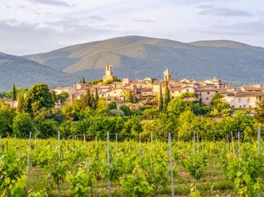 Grüne Weinreben im Vordergrund mit Lourmarin und Kirchtürmen hinter Bäumen, Berge im Hintergrund unter bewölktem Himmel.