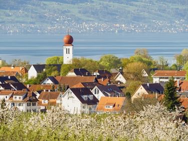Kressbronn Dorf mit Kirchturm und roter Zwiebelkuppel, blühende Obstbäume im Vordergrund, Bodensee und Hügel im Hintergrund.