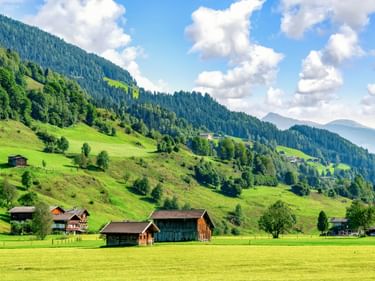 Grüne Wiesen mit traditionellen Holzscheunen in Bramberg, Österreich. Bewaldete Berghänge erheben sich unter blauem Himmel mit weißen Wolken.