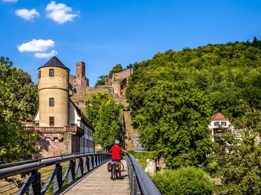 Radfahrer in roter Jacke überquert Holzbrücke in Wertheim. Historischer Turm und Burgruine auf grünem Hügel unter blauem Himmel.