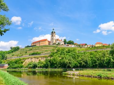 Schloss Melnik mit Kirchturm auf einem Hügel mit terrassierten Weinbergen über der Elbe unter blauem Himmel mit weißen Wolken.