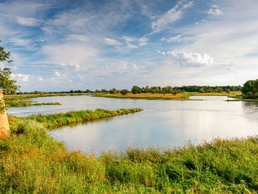 Wide river with green banks and small islands near Kostrzyn. Trees line both shores under a blue sky with white clouds.