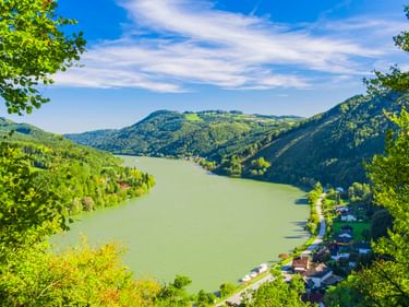 View of the Danube River in Strudengau, Austria, framed by green trees. Forested hills and a small village line the riverbank under blue sky.