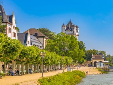 Tree-lined Rhine promenade in Eltville with people relaxing. White Electoral Castle with towers visible behind historic buildings under blue sky.