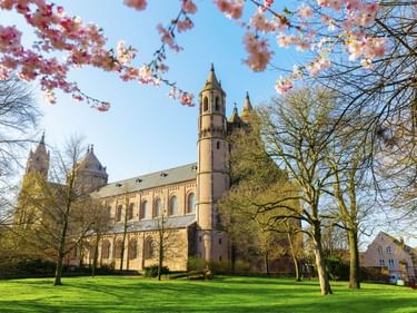 Wormser Dom im romanischen Stil mit Türmen und Kuppeln, eingerahmt von rosa Kirschblüten und grünem Rasen im Frühling.