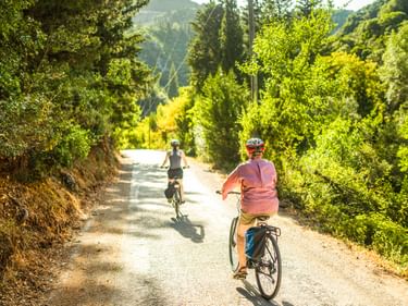 Zwei Radfahrer auf einer sonnigen asphaltierten Straße durch üppig grünen Wald im Böhmerwald, Tschechien, mit Hügeln im Hintergrund.