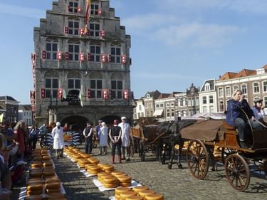 Traditioneller Käsemarkt in Gouda mit Reihen gelber Käselaibe auf Kopfsteinpflaster. Pferdewagen und historische Waage im Hintergrund.
