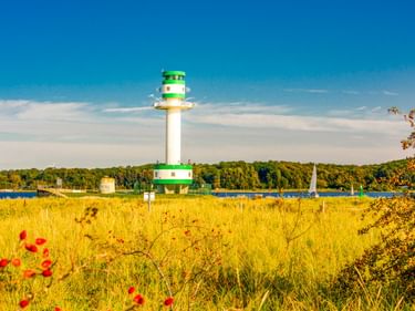 Weißer Leuchtturm mit grünen Markierungen in Friedrichsort an der Kieler Förde, umgeben von goldenem Gras und roten Mohnblumen.