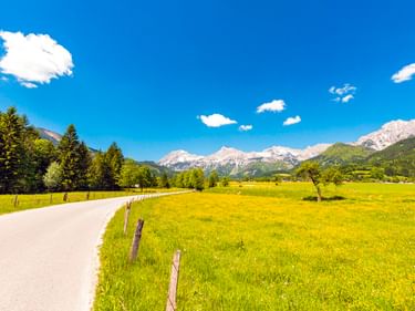 Asphaltierter Radweg durch leuchtend gelbe Wiese bei Admont mit schneebedeckten Alpen und Wäldern unter blauem Himmel.