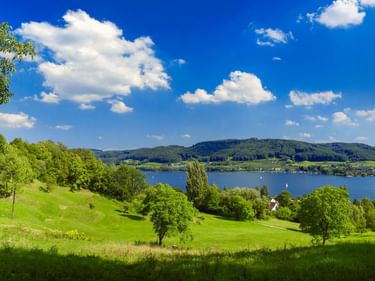 Panoramablick auf grüne Wiesen und Bäume in der Höri-Region mit Blick auf den Bodensee unter blauem Himmel mit weißen Wolken.