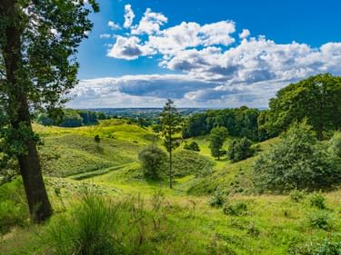 Grüne Hügellandschaft von Svanninge Bakker bei Faaborg mit vereinzelten Bäumen unter blauem Himmel mit weißen Wolken.
