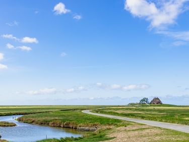 Weite Nordsee-Küstenlandschaft mit grünen Marschwiesen, gewundenem Wasserlauf und asphaltierter Straße zu einem traditionellen Bauernhaus.