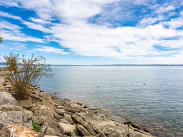 Felsiges Ufer des Bodensees bei Arbon mit vereinzelten Büschen. Ruhiges blaues Wasser erstreckt sich bis zum Horizont unter teilweise bewölktem Himmel.