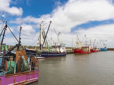 Bunte Fischerboote im Hafen von Havneby unter blauem Himmel mit weißen Wolken. Die Boote zeigen verschiedene Farben wie Rosa, Blau und Rot.