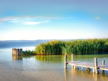 Holzsteg ragt in den Neusiedler See mit hohem Schilf im flachen Wasser. Blauer Himmel und ferne Hügel über dem ruhigen See.