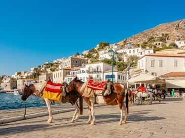 Drei gesattelte Pferde mit roten Decken stehen an der Uferpromenade des Hafens von Hydra. Weiße Gebäude ziehen sich den Hang hinauf unter blauem Himmel.