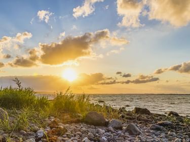 Goldener Sonnenuntergang über der Flensburger Förde mit felsigem Ufer, grünem Gras und ruhigem Ostseewasser unter bewölktem Himmel.