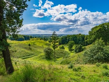 Grüne Hügellandschaft von Svanninge Bakker in Dänemark mit vereinzelten Bäumen, dichten Waldrändern und weißen Wolken am blauen Himmel.