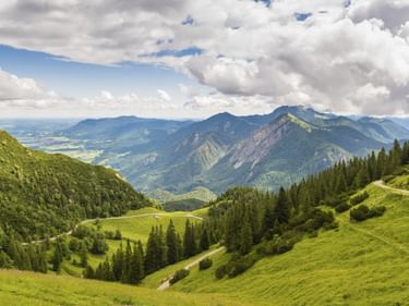 Grüne Almwiesen und bewaldete Hügel mit Bergketten in Bayern. Ein gewundener Weg führt durch sanfte Weiden unter bewölktem Himmel.