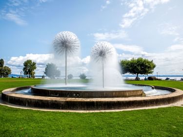 Runder Brunnen mit zwei pusteblumenförmigen Wasserskulpturen in einem Uferpark in Romanshorn. Grüne Wiese umgibt den Brunnen mit Bodensee im Hintergrund.