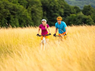Zwei Radfahrer mit Helmen fahren durch ein goldenes Grasfeld. Eine Frau in Pink und ein Mann in Blau radeln nebeneinander mit Wald im Hintergrund.
