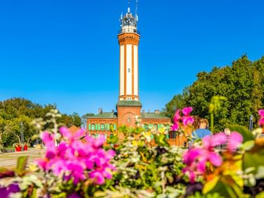 Rot-weiß gestreifter Leuchtturm in Niechorze mit grünem Gebäude am Fuß, umgeben von rosa und bunten Blumen im Vordergrund unter blauem Himmel.