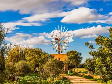 Weiße traditionelle Windmühle mit blauen Flügeln hinter einem Steingebäude in mediterranem Garten mit Olivenbäumen und Palmen unter blauem Himmel.