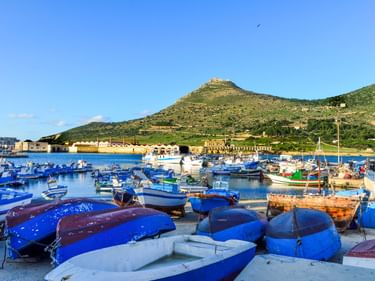 Hafen von Favignana voller blauer Fischerboote. Grüne Hügel mit einer Festung auf der Spitze erheben sich im Hintergrund unter klarem Himmel.