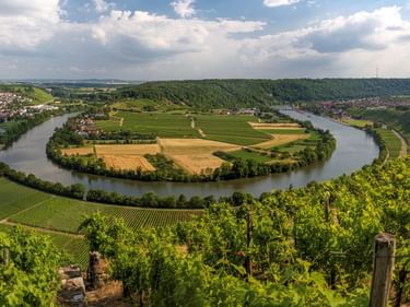Aerial view of Neckar River forming a horseshoe bend around agricultural fields near Mundelsheim, with vineyards in foreground and towns on both sides.
