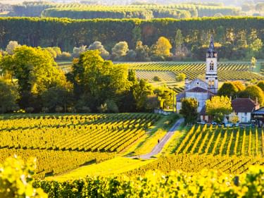Hügelige Weinberglandschaft in Sauternes mit Rebreihen im goldenen Sonnenlicht. Eine weiße Kirche mit Glockenturm steht zwischen Bäumen und Häusern.