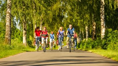 Gruppe von Radfahrern auf einem asphaltierten Weg durch eine Birkenallee. Grünes Gras und Laub säumen beide Seiten der sonnigen Radroute.
