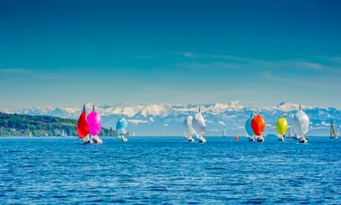 Sailboats with colorful spinnakers sailing on Lake Constance with snow-capped Alps in the background under a clear blue sky.