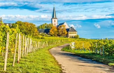 Kirche mit hohem Turm in Hochheim, umgeben von grünen Weinbergen. Ein gepflasterter Weg führt durch die Weinreihen zur Kirche unter blauem Himmel.