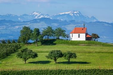 Weiße Antoniuskapelle mit rotem Dach auf grünem Hügel bei Wasserburg, umgeben von Bäumen mit schneebedeckten Alpen im Hintergrund.