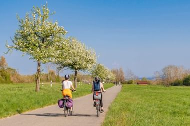 Zwei Radfahrer auf einem asphaltierten Weg durch grüne Wiesen mit blühenden weißen Obstbäumen unter klarem blauen Frühlingshimmel.