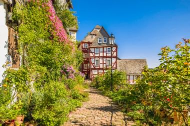 Kopfsteinpflasterweg zu traditionellen Fachwerkhäusern in Marburg, eingerahmt von blühenden Ranken und üppigem Grün unter blauem Himmel.