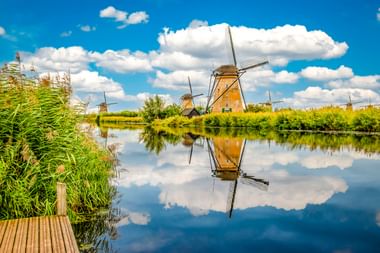 Traditionelle niederländische Windmühlen in Kinderdijk spiegeln sich in einem ruhigen Kanal. Gelbe Windmühle im Vordergrund mit Schilf.