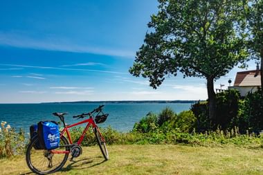 Rotes Reiserad mit blauen Taschen auf Wiese mit Blick auf einen ruhigen See. Ein großer Baum und ein Haus sind unter blauem Himmel sichtbar.