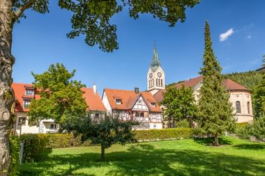 Blick auf Fridingen Altstadt mit traditionellen Fachwerkhäusern, roten Ziegeldächern und weißem Kirchturm unter blauem Himmel, eingerahmt von grünen Bäumen.
